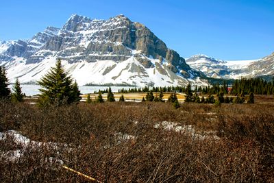 Bow Lake and Bow Glacier