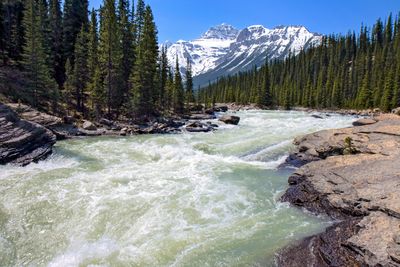 Mistaya River