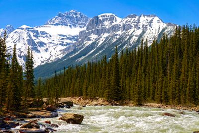 Canadian Rockies and Mistaya River