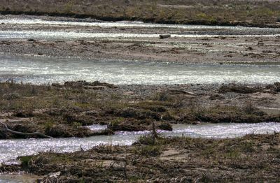Athabasca River