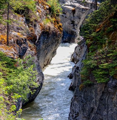 Maligne Canyon