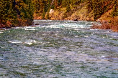 Maligne River