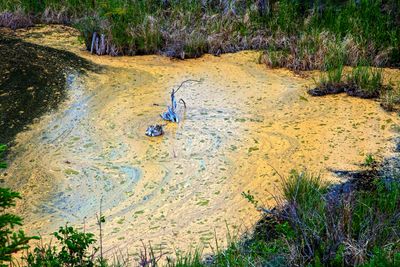 Dirty pool