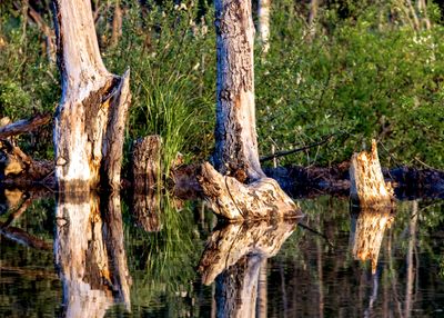 Maxwell Lake