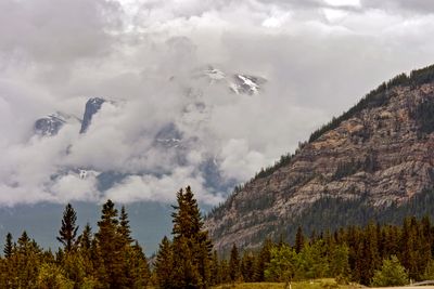 Rocky Mountain Provincial Forest Reserve