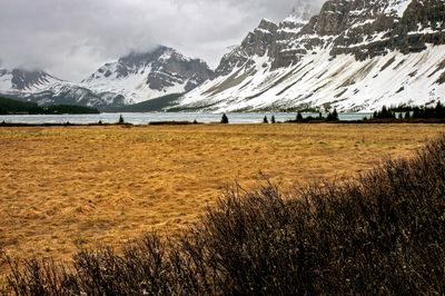 Bow Lake