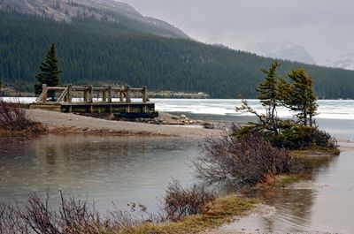 Bow Lake in the rain
