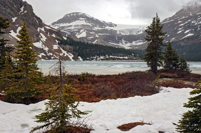 Rocky Mountains and Bow Lake