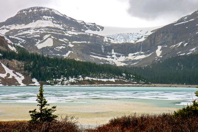 Bow Glacier and Bow Lake