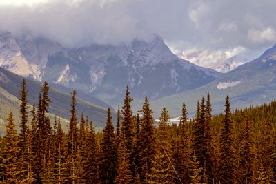 Kananaskis Range