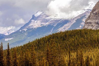 View from the Spray Trail