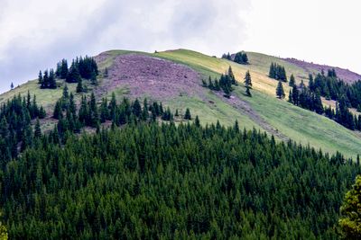 Spray Valley Provincial Park