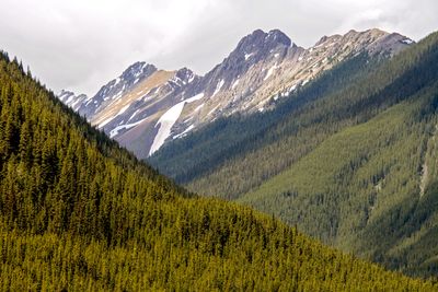 Peter Lougheed Provincial Park