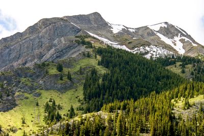 Mountain view from the Kananaskis Lakes Trail