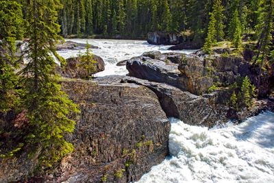 Natural Bridge