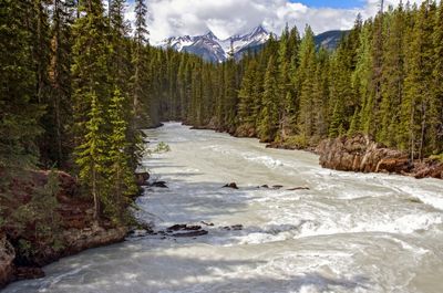 Kicking Horse River