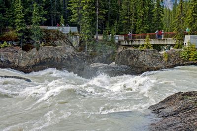 Kicking Horse River (Natural Bridge area)