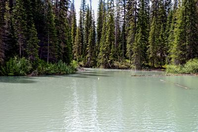 Emerald Lake