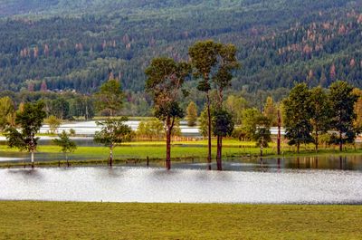 Thompson River