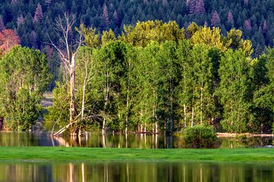 Thompson River