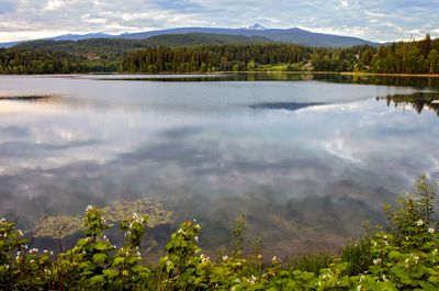 Dutch Lake
