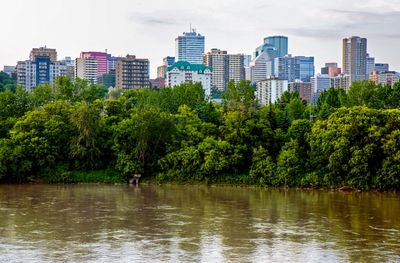 Edmonton Skyline