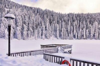 Mummelsee