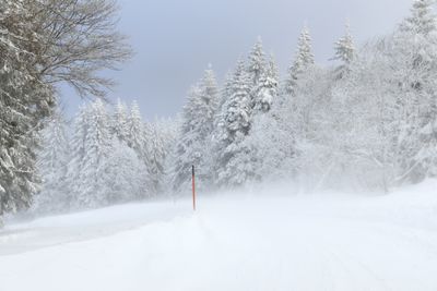 Blizzard