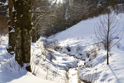 Allerheiligen