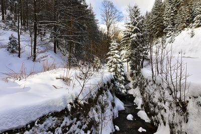Allerheiligen