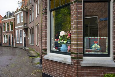 Flowers on the windowsill