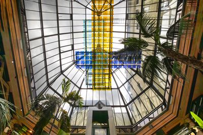 Glass roof of Caf Luitpold