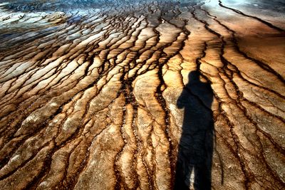 Midway Geyser Basin
