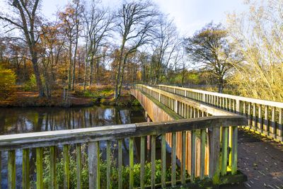 Wooden bridge over the Ilmenau
