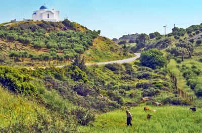 Chapel on the hill