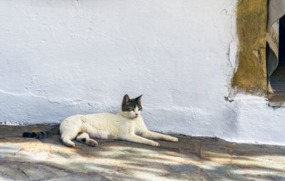 Watchful