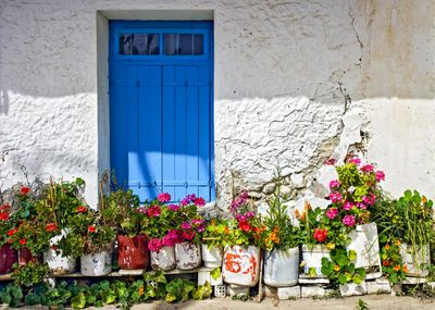 Floral decoration