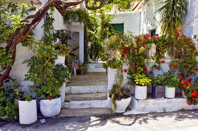 Pottery Garden