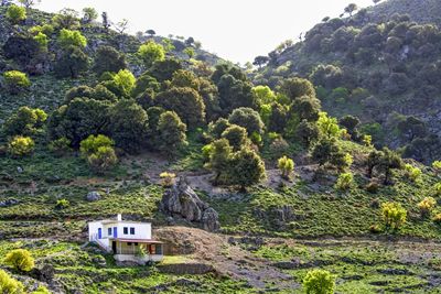 House in the mountains