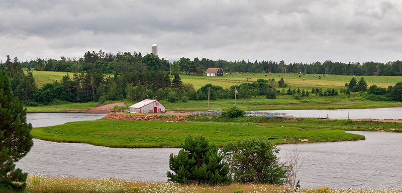 Rural scene in Cavendish