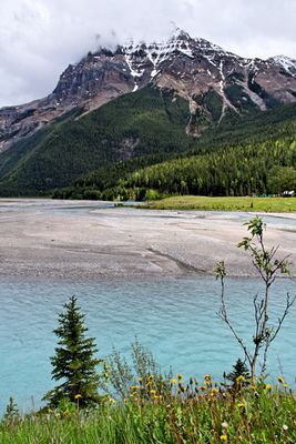 Kicking Horse River and Mount Stephen, at Field