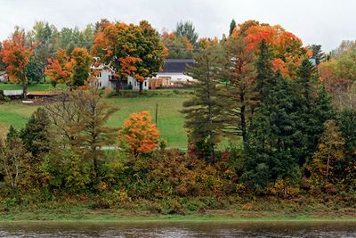 Fall, along the Saint. John River
