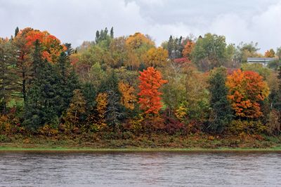Fall, along the Saint John River