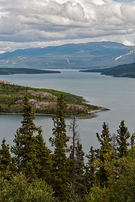 Bove Island in Windy Arm on Tagish Lake - on the Klondike Highway