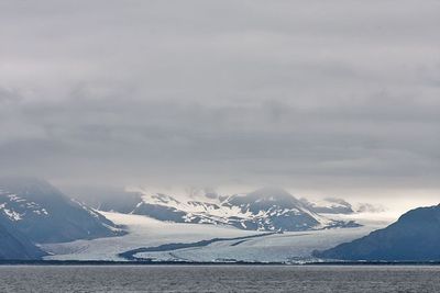Bear Glacier, Resurrection Bay