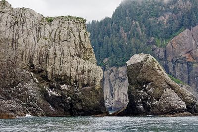 On Resurrection Bay
