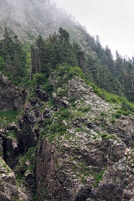 On Resurrection Bay