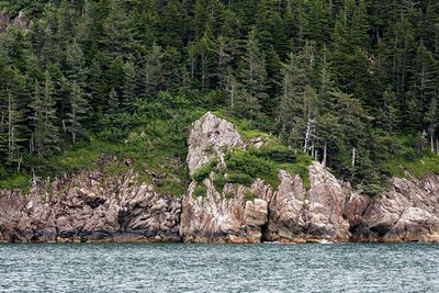 On Resurrection Bay