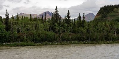 View across the Nenana River