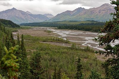 Teklanika River